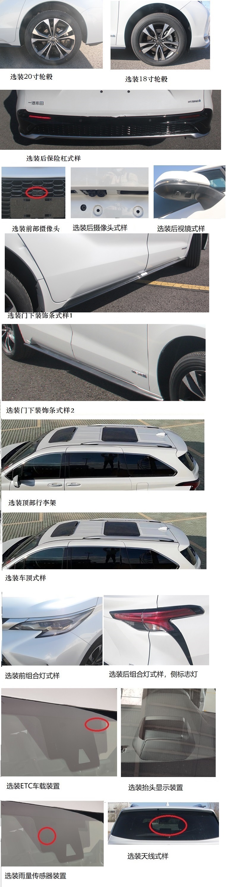 赛那的北方兄弟，一汽丰田Granvia申报信息曝光